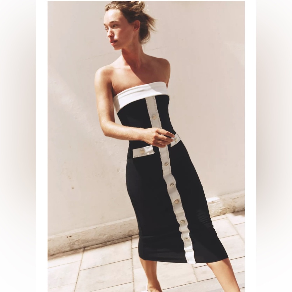 Zara bloggers favorite dress